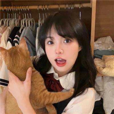黑眉蚊