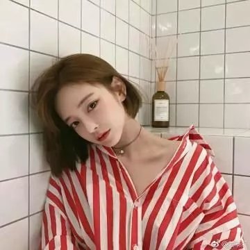 鼹鼠之歌
